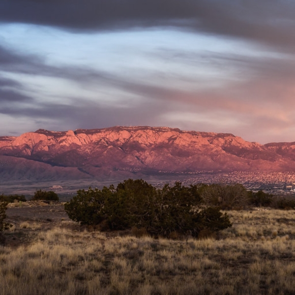 Globetrotter. Personal Concierge. OrangeTheory. - Picture 8 of 8